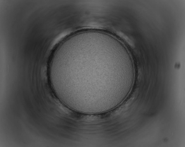 X0000101161307200807181349