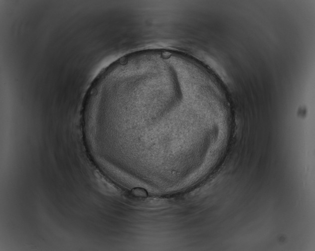 X0000101161308200807181349