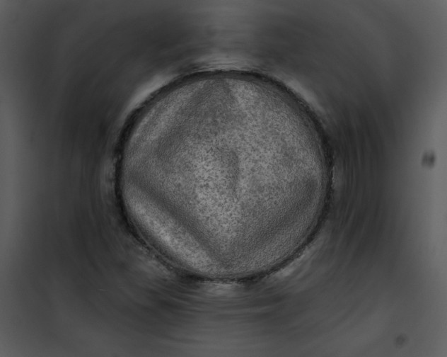 X0000101161309200807181349