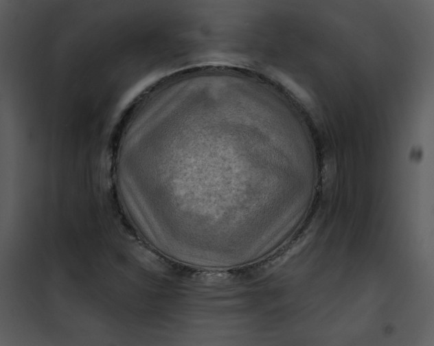 X0000101161310200807181349