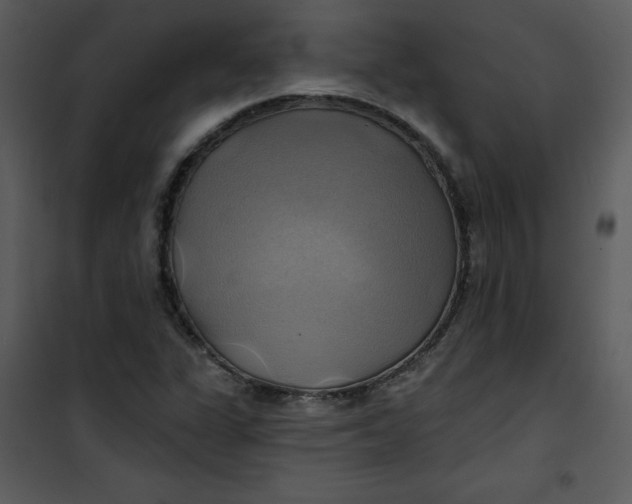 X0000101161311200807181349