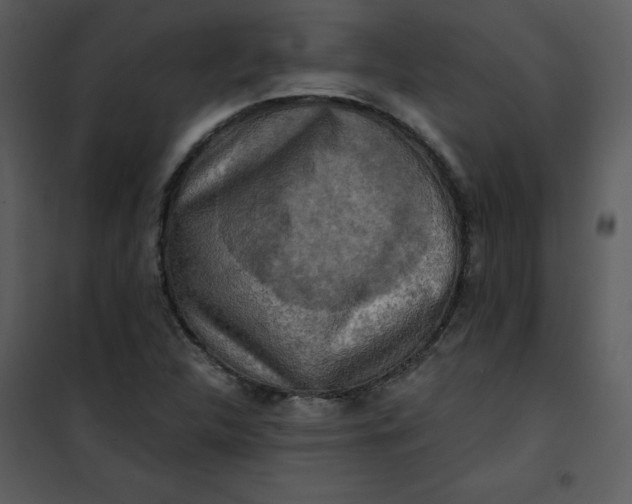 X0000101161312200807181349