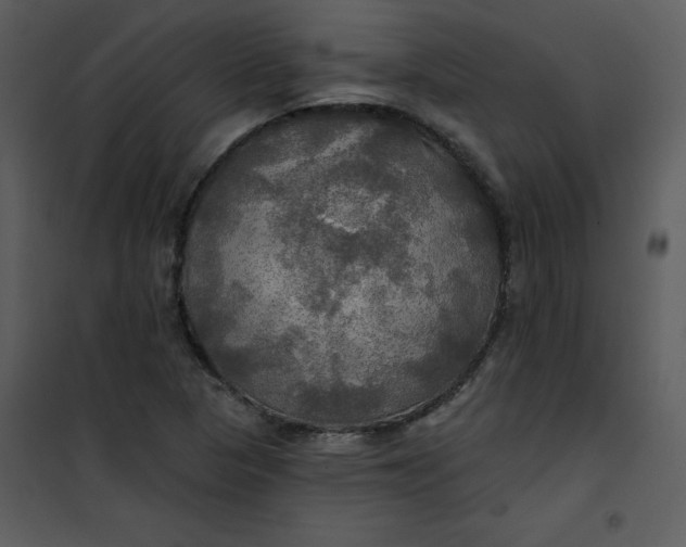 X0000101161313200807181349