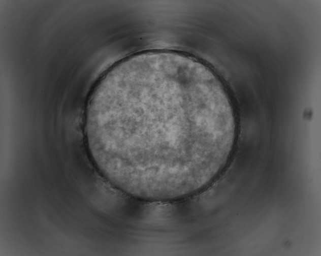 X0000101161314200807181349