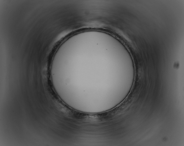 X0000101161315200807181349