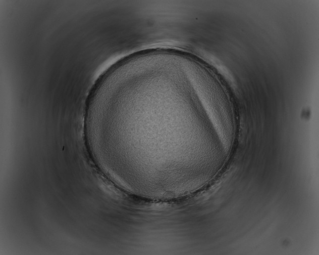 X0000101161316200807181349