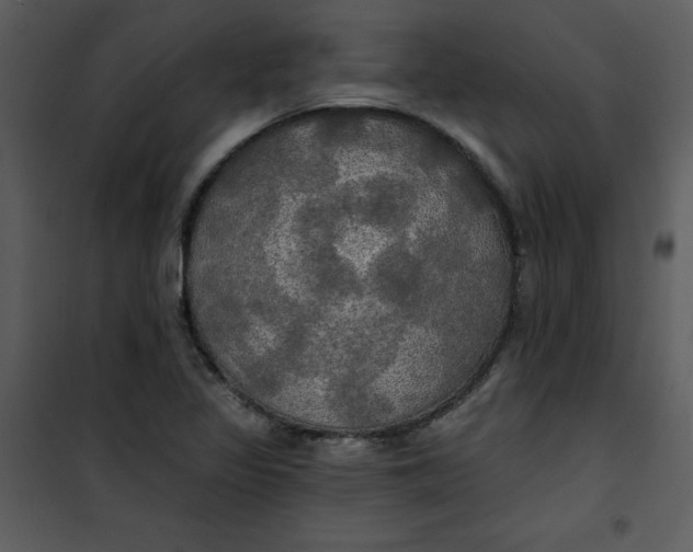 X0000101161317200807181349