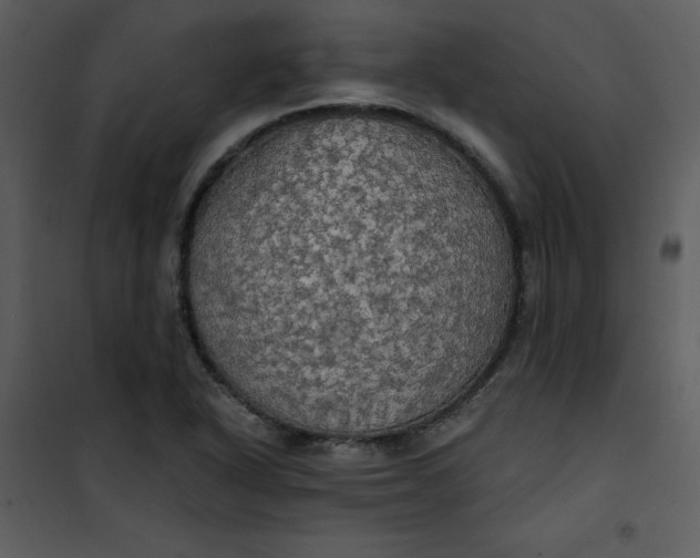 X0000101161318200807181349