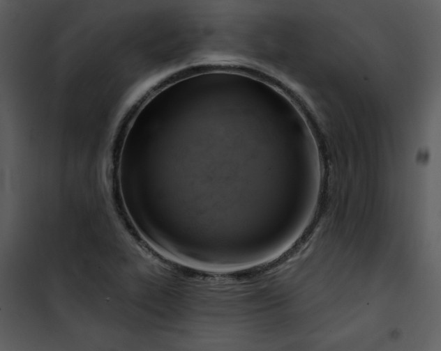 X0000101161319200807181349