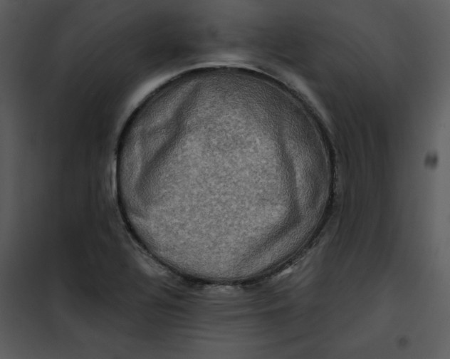 X0000101161320200807181349