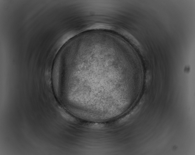 X0000101161321200807181349