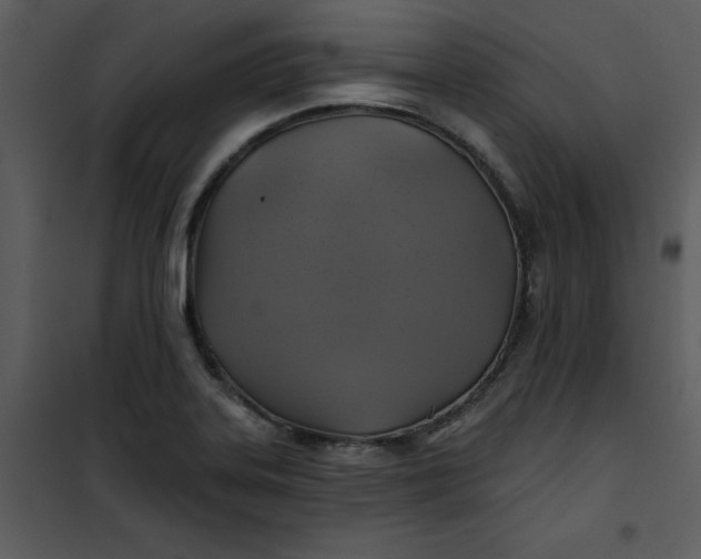 X0000101161323200807181349