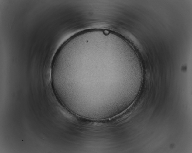 X0000101161324200807181349