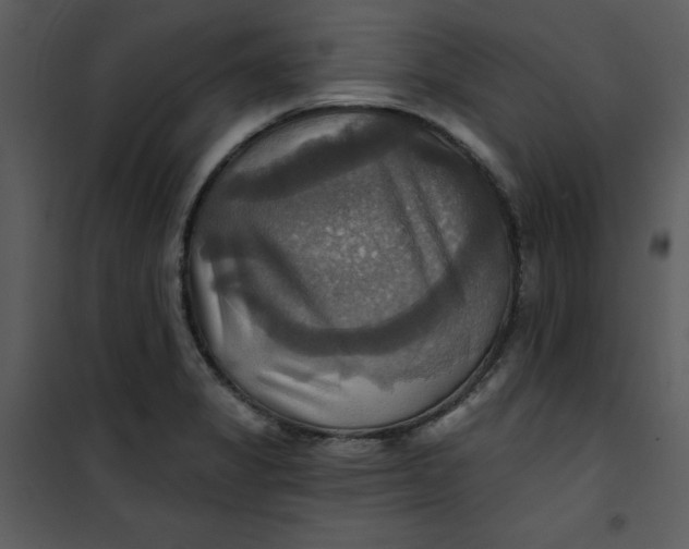 X0000101161325200807181349