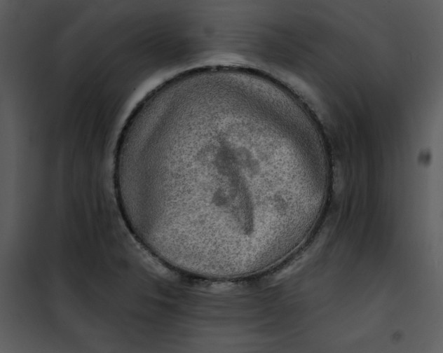 X0000101161326200807181349