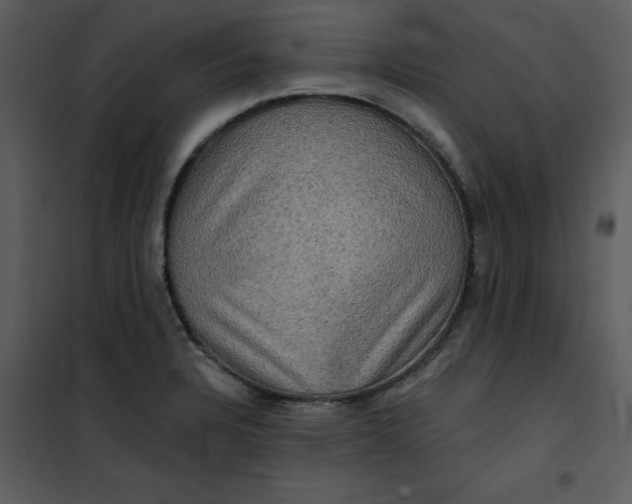 X0000101161328200807181349