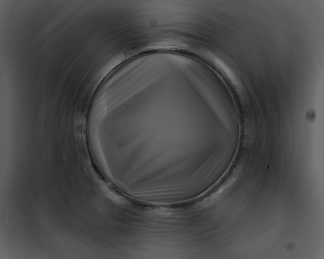 X0000101161329200807181349