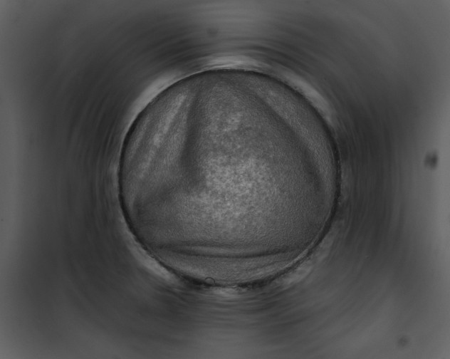 X0000101161330200807181349