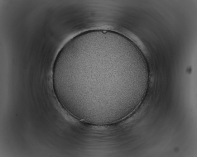 X0000101161332200807181349