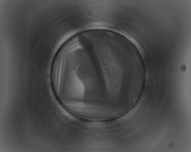 X0000101161333200807181349