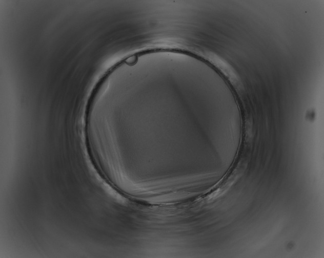 X0000101161334200807181349