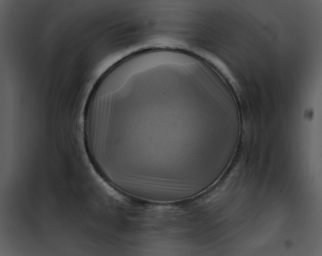 X0000101161335200807181349