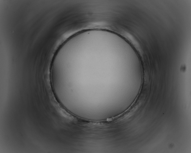 X0000101161336200807181349