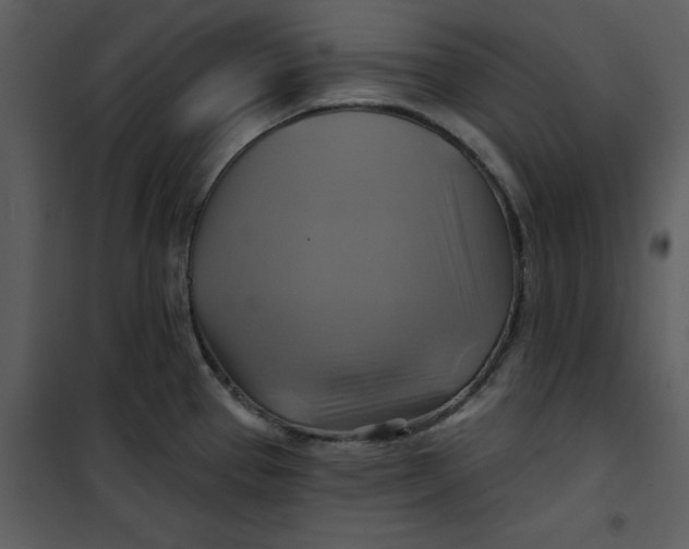 X0000101161337200807181349