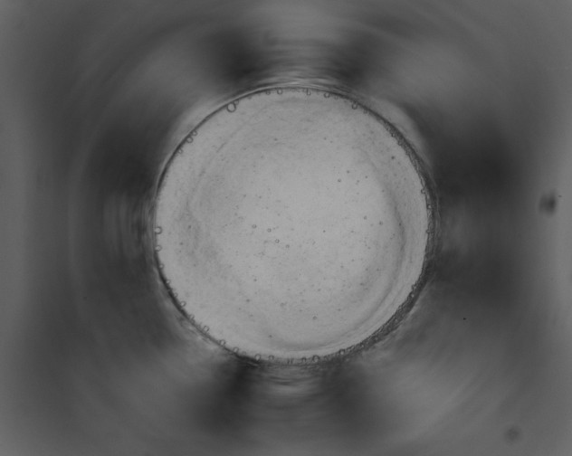 X0000101161338200807181349