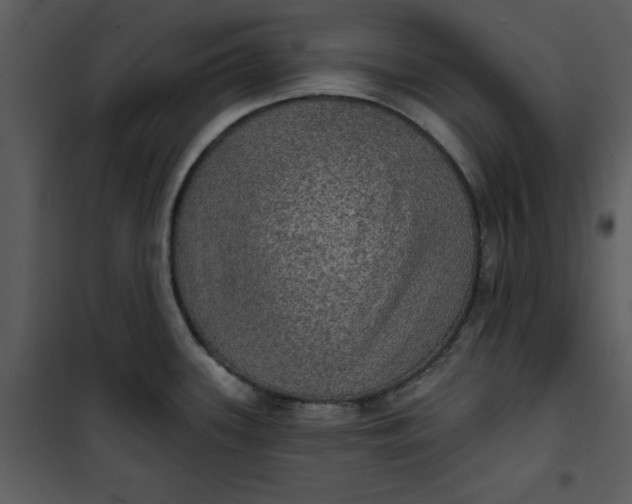 X0000101161339200807181349