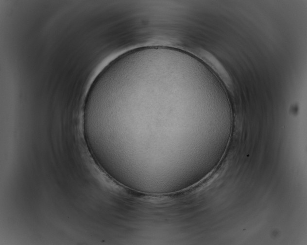 X0000101161340200807181349