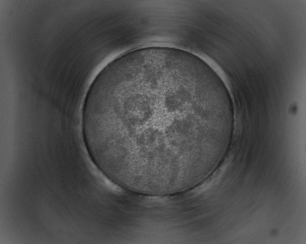 X0000101161341200807181349