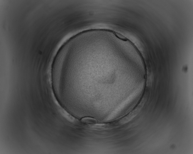 X0000101161342200807181350