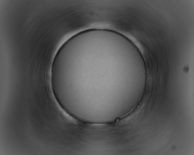 X0000101161343200807181350