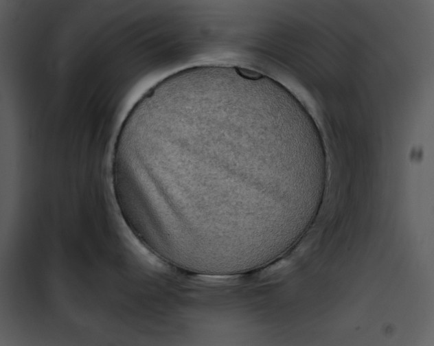 X0000101161344200807181350