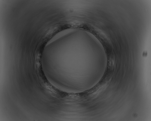 X0000101161346200807181349