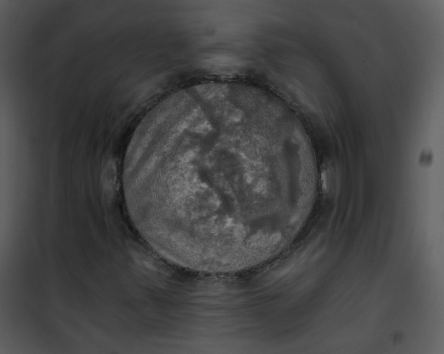 X0000101161347200807181349