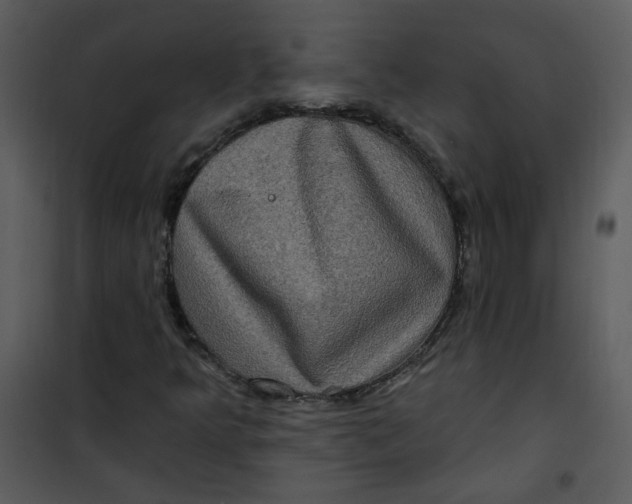 X0000101161349200807181349