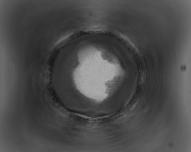 X0000101161350200807181349