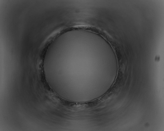 X0000101161351200807181349