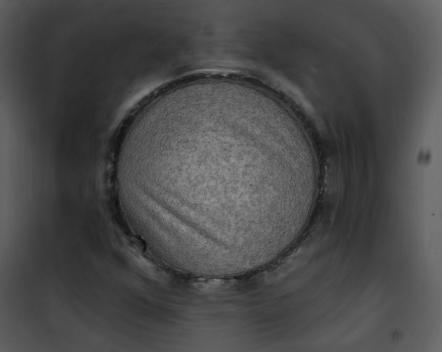 X0000101161352200807181349