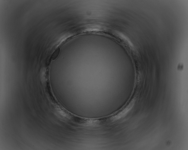 X0000101161353200807181349