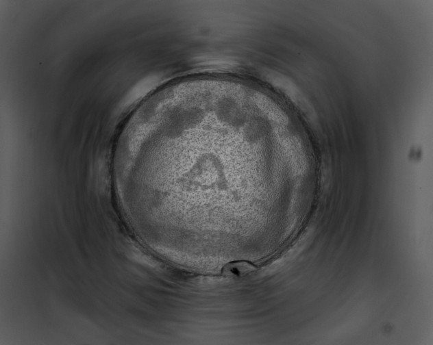 X0000101161354200807181349