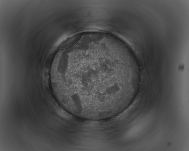 X0000101161355200807181349