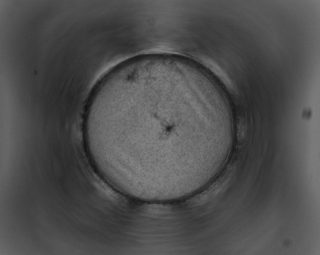 X0000101161356200807181349