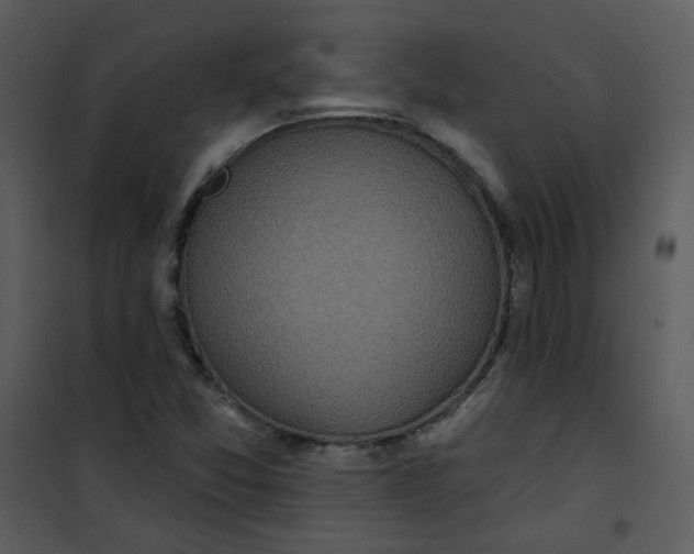 X0000101161357200807181349