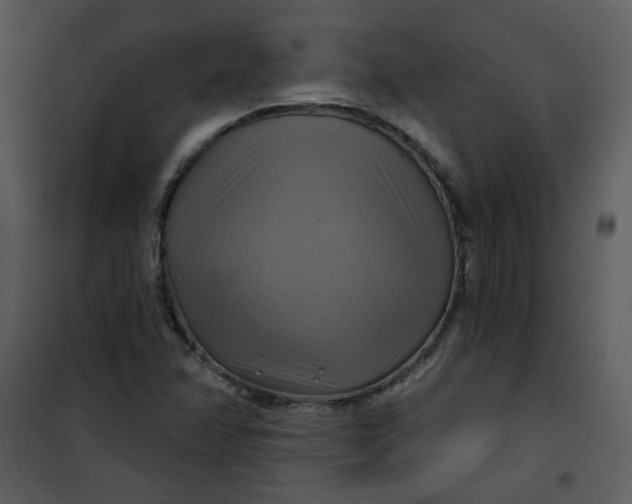 X0000101161358200807181349