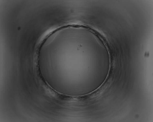 X0000101161359200807181348