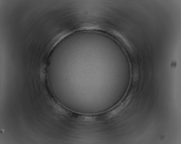 X0000101161361200807181348