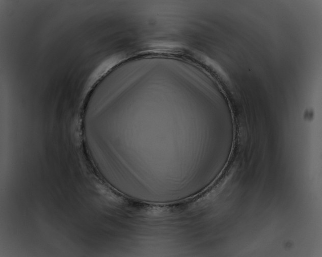 X0000101161362200807181348